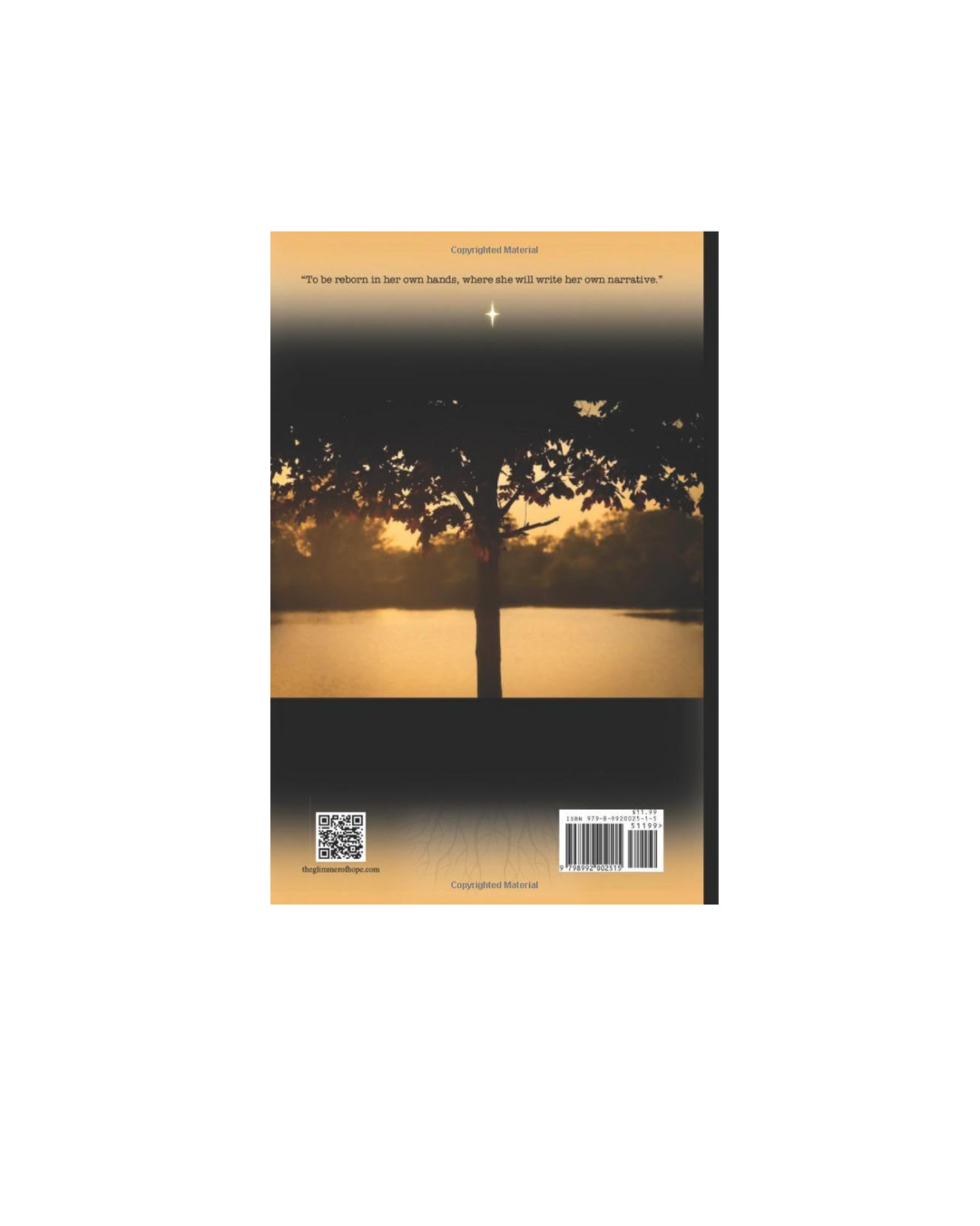Glimmers of Hope: Healing Map of Poetry Volume 1